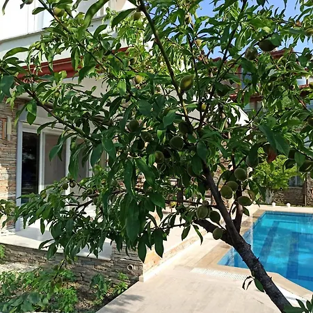 Dora Villa
